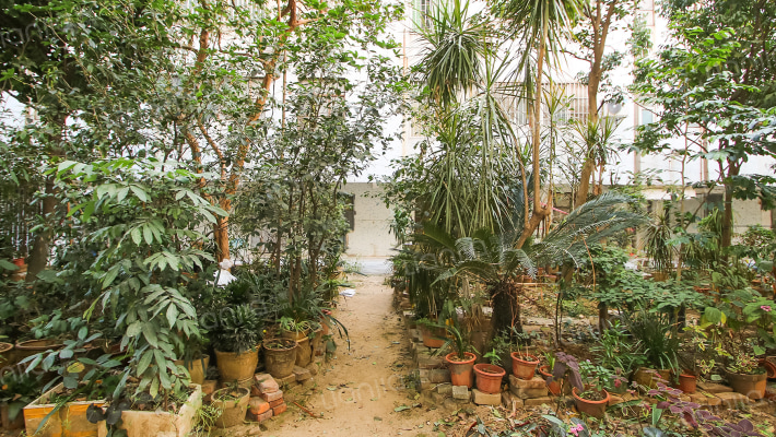 黄圃中糖生活区西区外景图