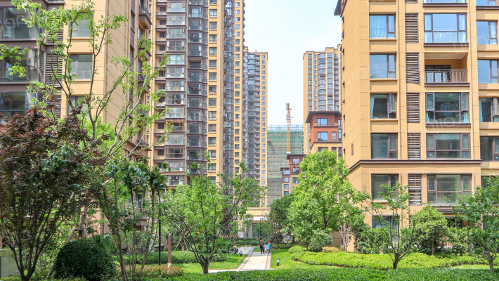 金科城二期外景图