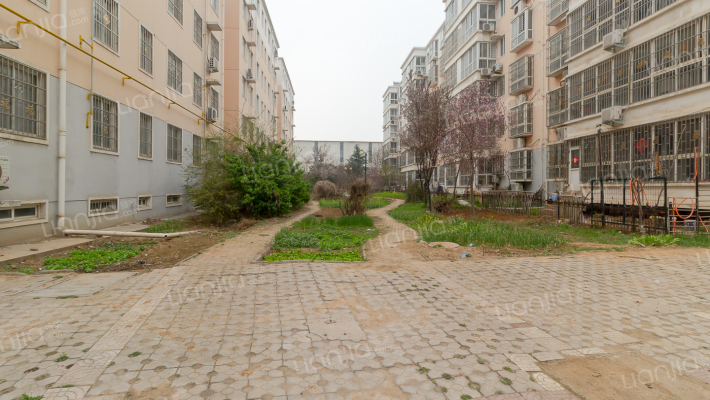 李村花园外景图