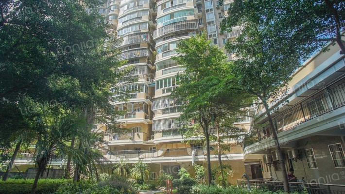 禹州棕榈城外景图