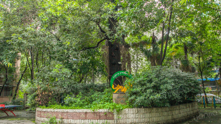 金沙巷10号外景图