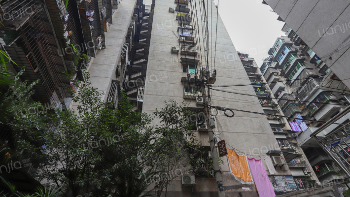 吉林巷小区外景图