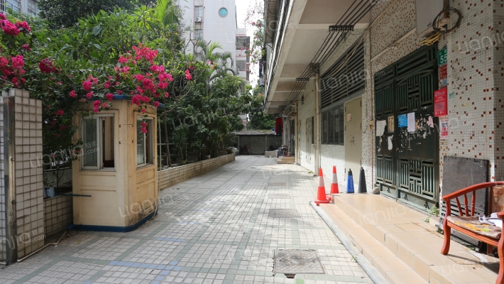 心谊路园林局宿舍外景图