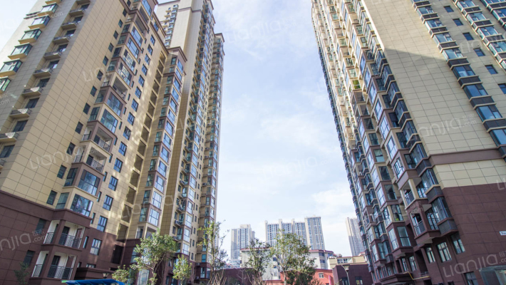 齐辉好邻居外景图