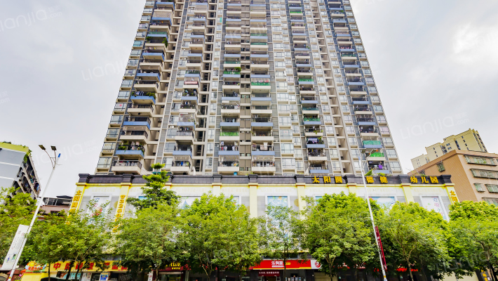 东成雅居外景图