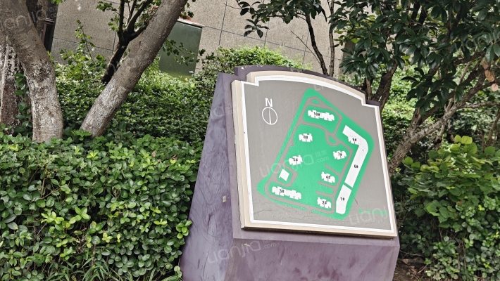 立新漾滨春天外景图