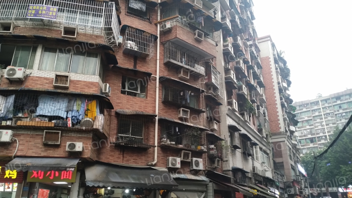 天马支路外景图