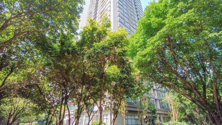 财富中心国际公寓C区外景图