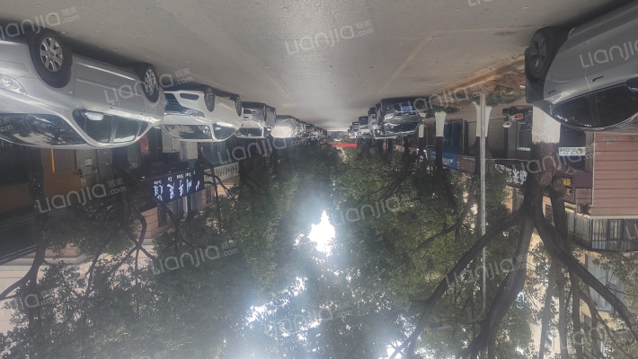 江东花园茶香园外景图