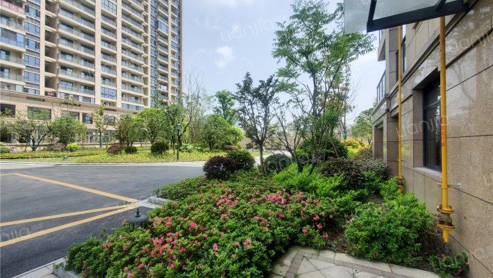 金光灿烂外景图