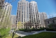 春柳公园9