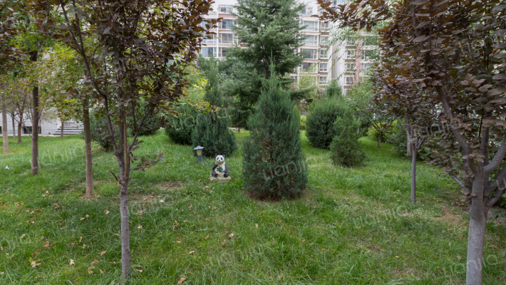 飞天花苑小区外景图