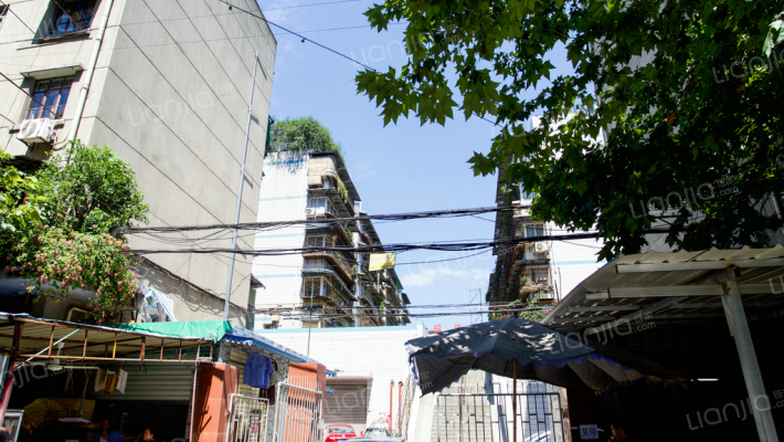 双桥路南二街外景图