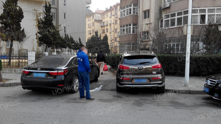 团岛路12-42号外景图