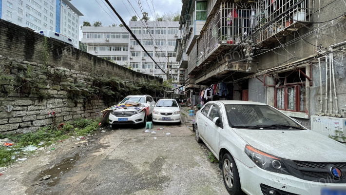 海马冲84号外景图