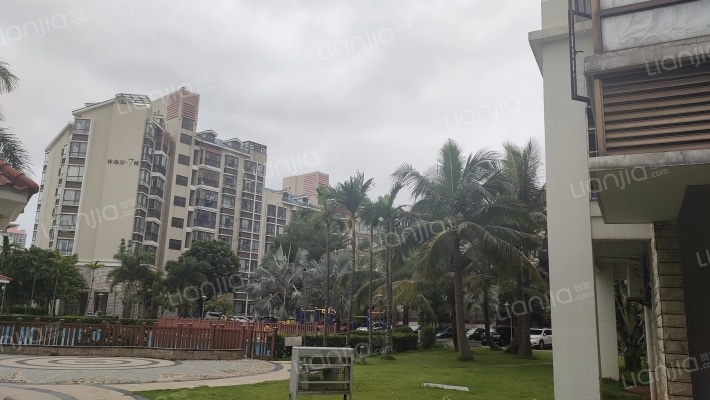 城市海岸林海居外景图