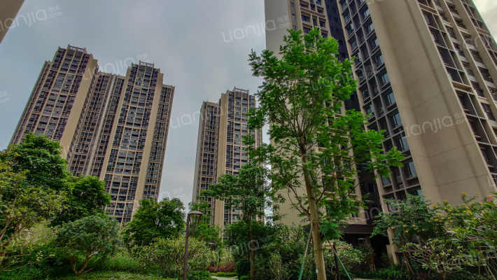 时代春树里B区外景图