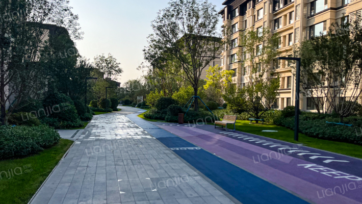 龙湖天璞外景图