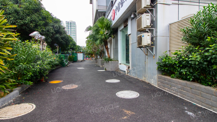 绿城画卷外景图