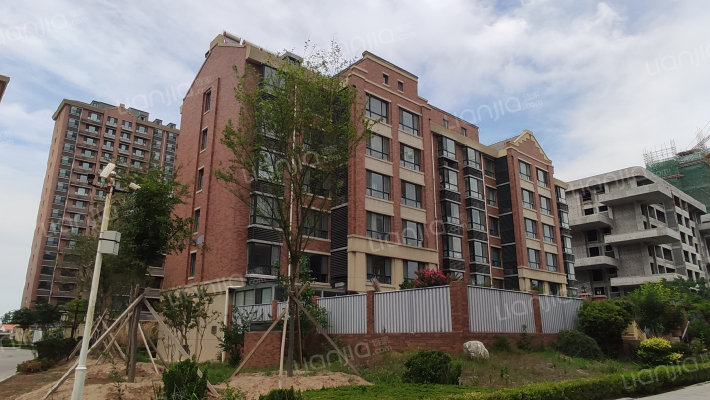 东方国际外景图