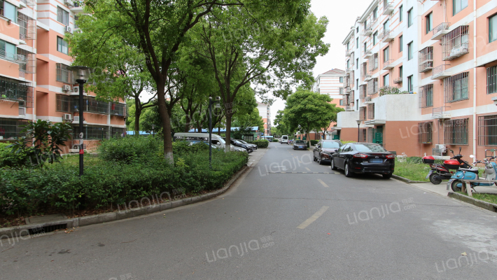 施湾家园外景图