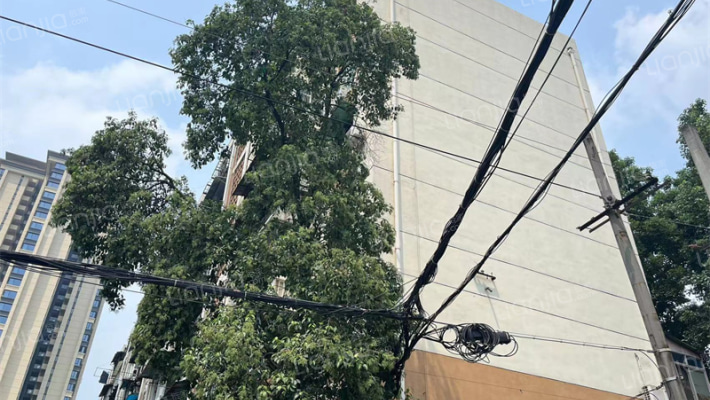 川化五村2区外景图