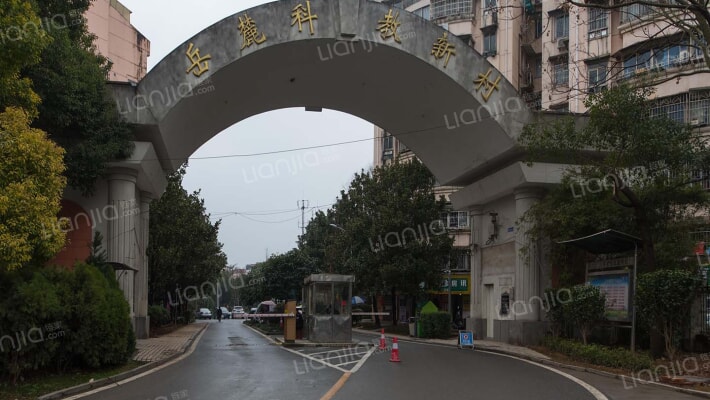 科教新村外景图