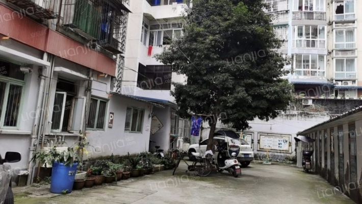 愿景春之雪外景图