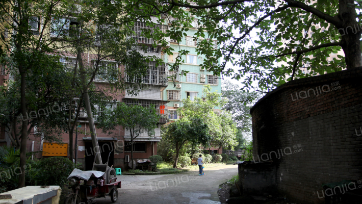 水木年华紫香亭外景图