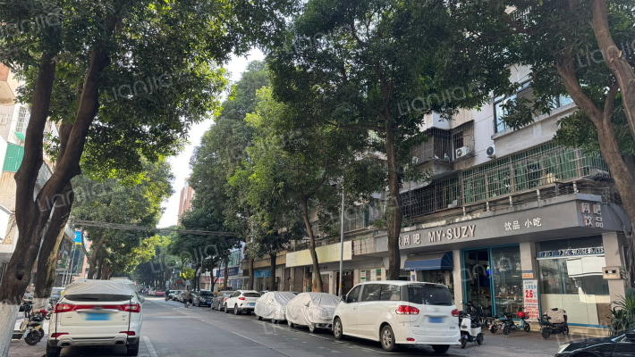 石碁荔新大道外景图