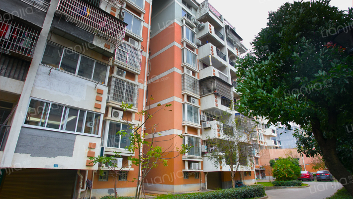 金山花园外景图