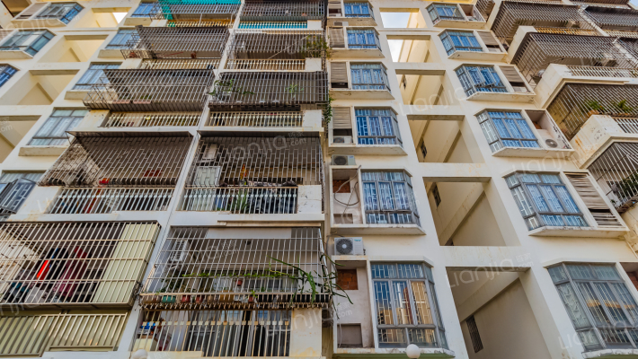 东庆街13号外景图