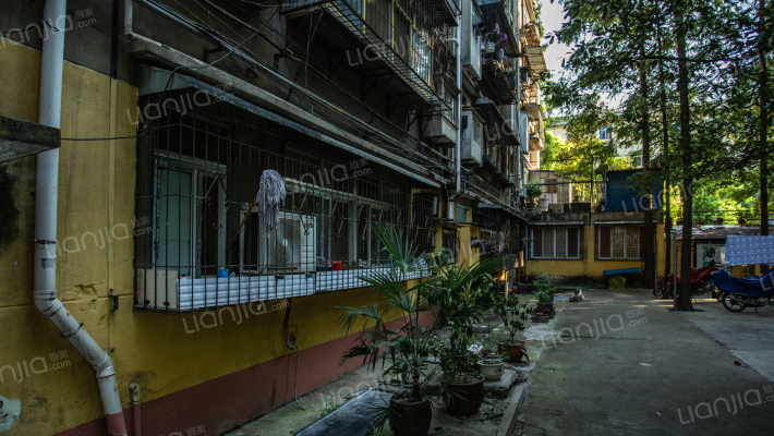 麻茶家属院外景图