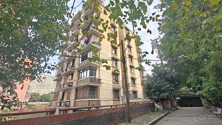 大杨公桥86号外景图