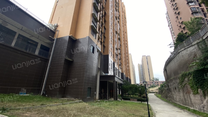 莱茵河畔外景图