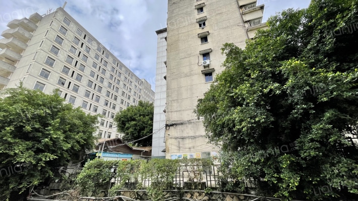 五四路人民银行单位宿舍外景图