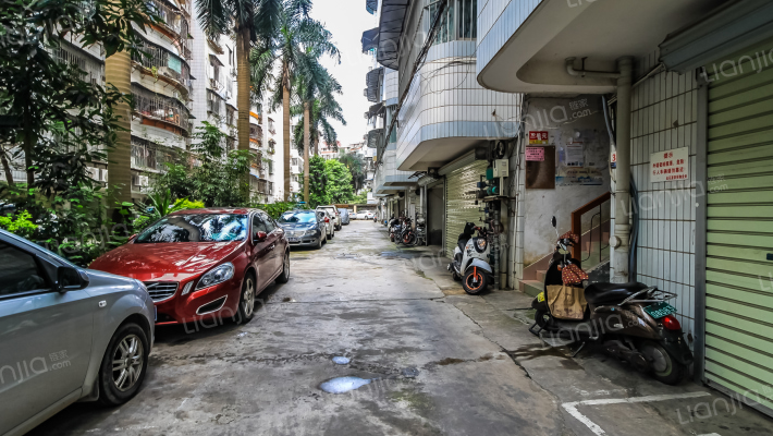 金花茶花苑外景图