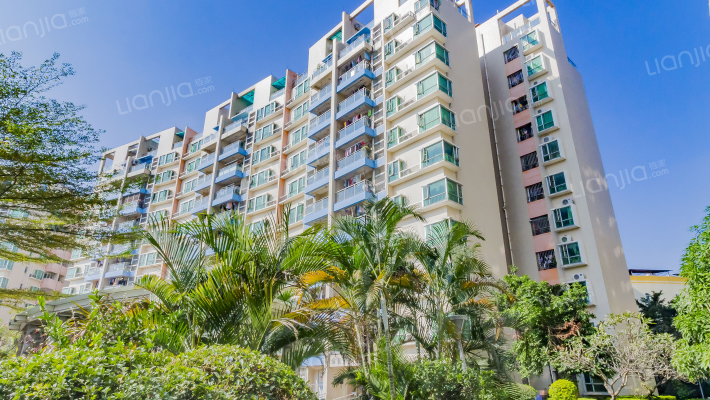 金田花园外景图