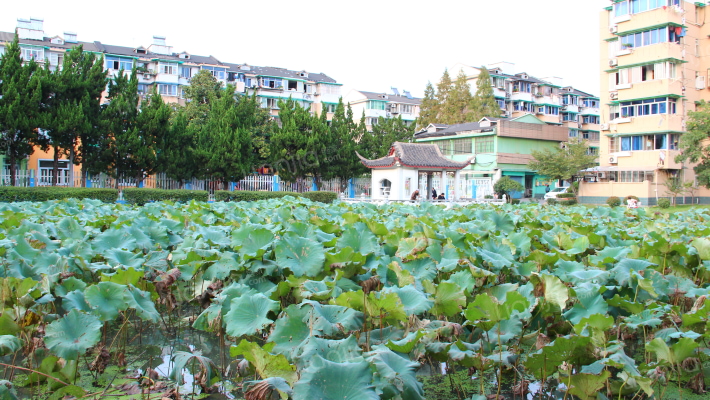 采荷路62号外景图