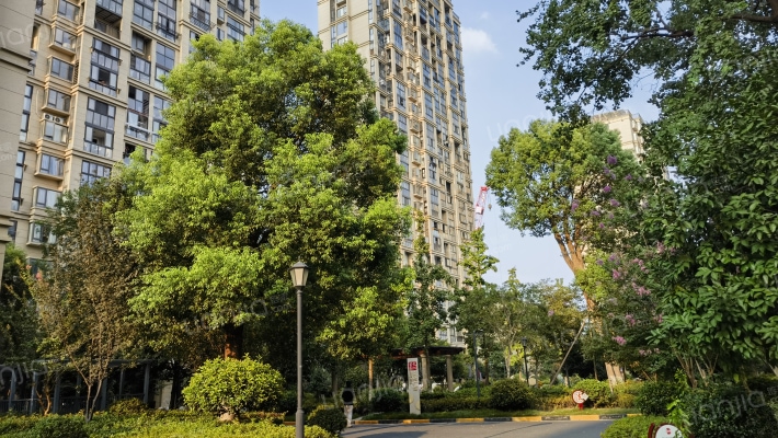 金鼎华庭二期外景图