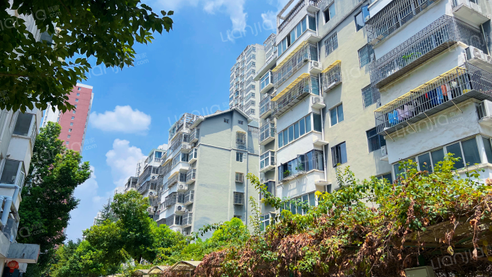 金河绿城小区外景图