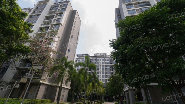 亚运城运动员村四区外景图