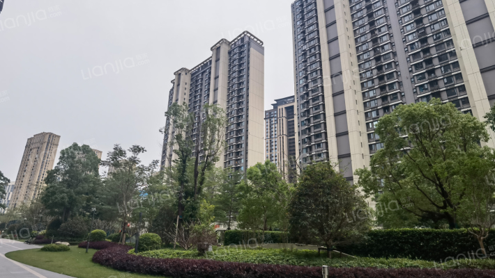 中海杏林鹭湾外景图