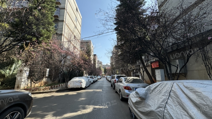 刘家营小区新区外景图