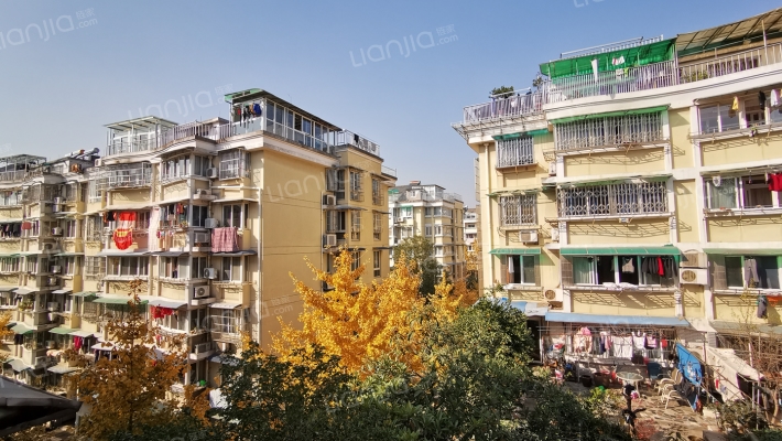 风清苑外景图