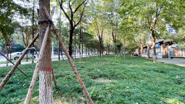 化工六院外景图