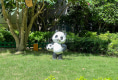鸿荣源·壹城中心第八区23
