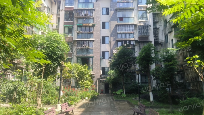 高桥阳光外景图