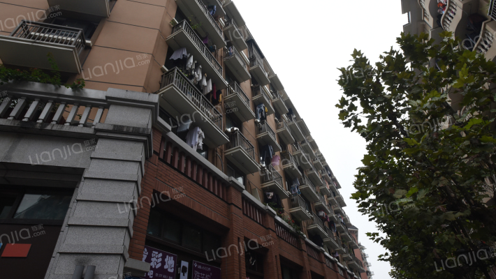 上海路216号外景图