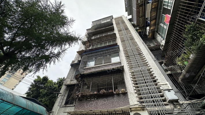 金河路75号外景图